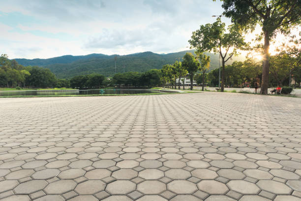 Best Professional Driveway Pavers  in Vcennes, IN